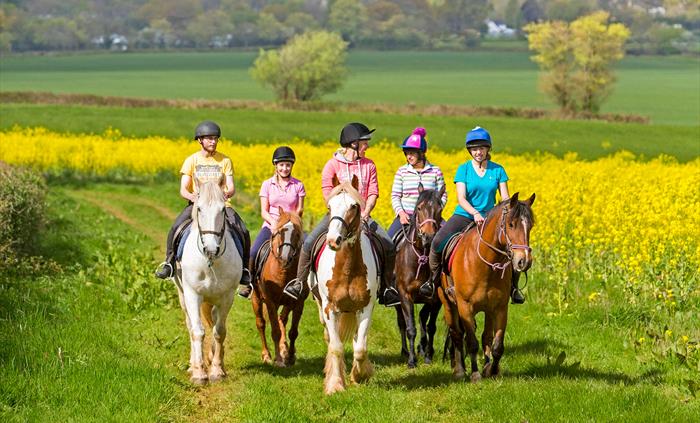 Horse Riding on Private Bridleways